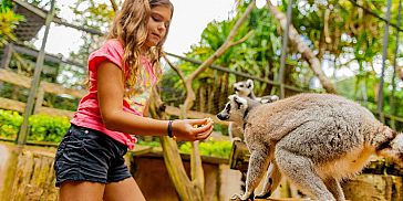 Themed Adventure Packages at Crocodile & Giant Tortoises Park